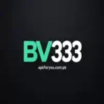 BV333 Game