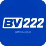 BV222 Game