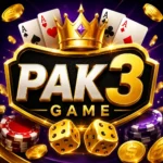 pak3 game